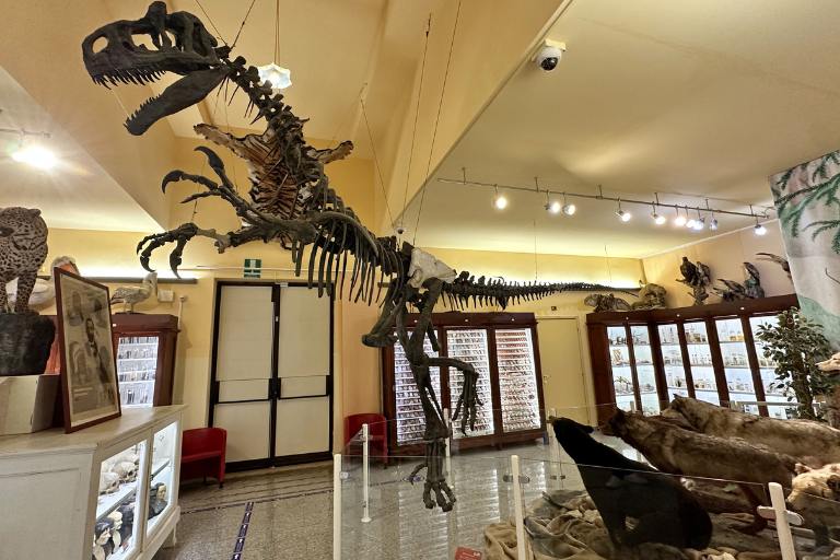 University Museum of Chieti