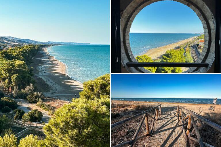 Sandy beach and Adriatic coastline bordered by pine trees near Torre del Cerrano